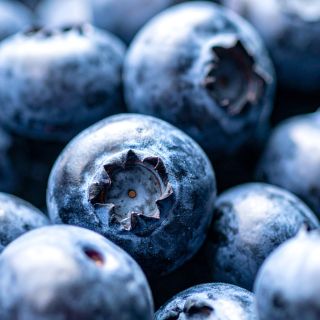 Estratto di mirtillo rosso