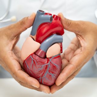Sostegno alla funzione cardiaca